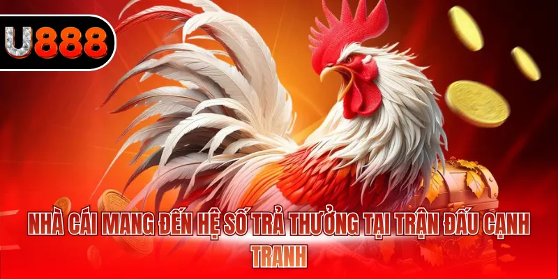 Đá Gà Cựa Dao U888 – Mãn Nhãn Cùng Trận Đấu Kịch Tính 4 Nhà cái mang đến hệ số trả thưởng tại trận đấu cạnh tranh