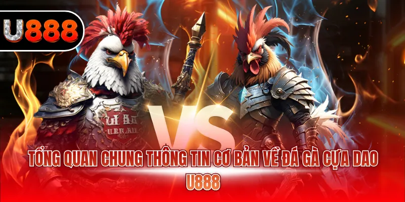 Đá Gà Cựa Dao U888 – Mãn Nhãn Cùng Trận Đấu Kịch Tính 2 Tổng quan chung thông tin cơ bản về đá gà cựa dao U888